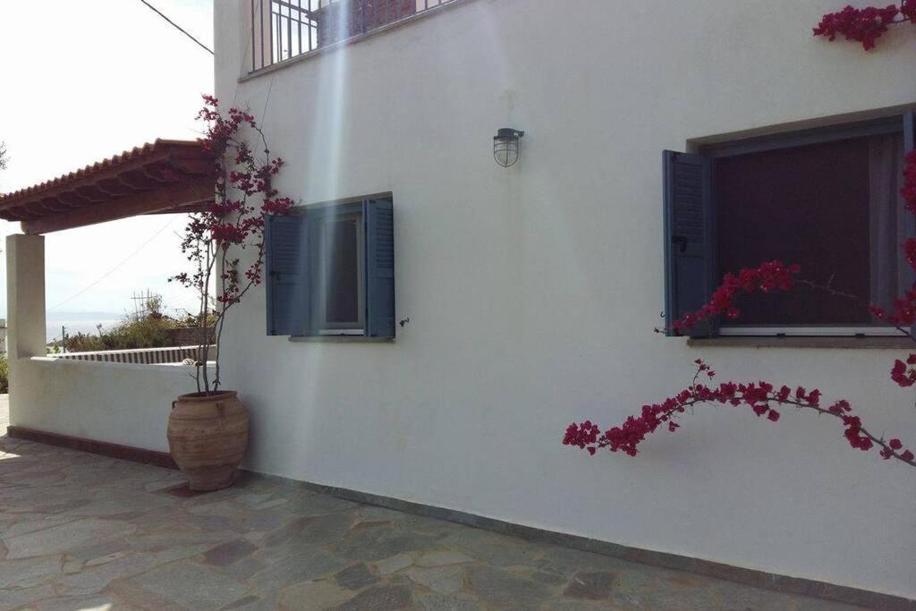 Mina'S Kypri Apartment Kipri (Andros) Exterior foto